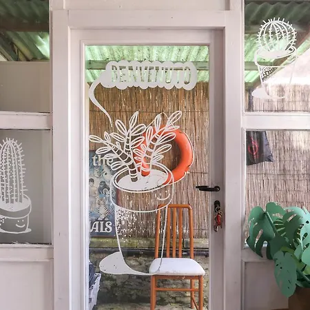 Vakantiehuis Ici Casa